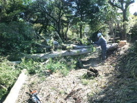 建物解体および整地工事（市原市）